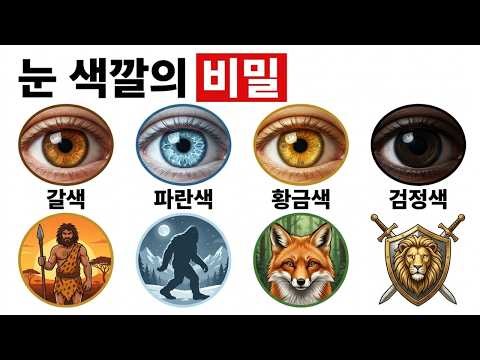당신의 눈 색깔이 정말로 당신에 대해 말하고 있는 것