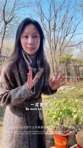 Shake Off Negativity - The Taoist Handshake Ritual Mindfulness Wellness