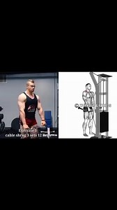 6 BEST EXERCISES FOR TRAPS WORKOUT 🔥 #trapsworkout #traps #shoulderworkout #fitness #gym #bodybuilding #gymmotivation #workout #fitnessmotivation #shoulderday #trapworkout #backworkout #fitnessjourney #gymlife #shrugs #deltsworkout #upperbodyworkout #trapsexercises #shoulders #workoutmotivation | Workout and fitness