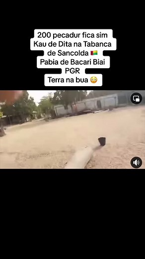 🇬🇼 200 pecaduris fica sim Teto na tabanca de Sancolda a mando de Bacari Biai 🇬🇼 Guiné-Bissau i pena 😳🇬🇼🇬🇼