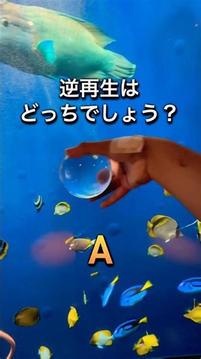 逆再生はどっちでしょう？ #shorts