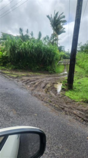 Exciting Renovations for Our Rescue Dogs' Future