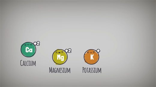 Soil cation exchange capacity