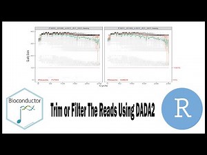 12 | Trim or Filter The Reads Using DADA2 Package
