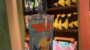 Pixar's UP Tumbler Flies Into Disney World | Chip and Company