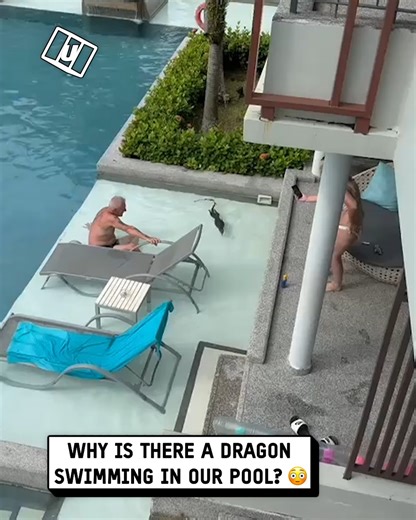 Not me thinking it's a crocodile... 😂 🐊 💦 | UNILAD