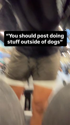 shane murray on Instagram: "I reach flow state training dogs. Not always doing other things 😂 #notdogtraining"