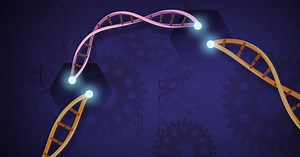 Scientists Use CRISPR/HDR to Augment Hybridoma-Made Antibodies