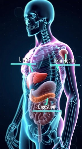 Benefits of Radicchio | Supports Liver Detox, Aids Digestion & Protects Skin | 4K Medical Animation YouTube Video Link: https://youtube.com/shorts/WYinOTEP2AU?feature=share Explore the powerful health benefits of radicchio in this 4K ultra-HD educational video. The video starts with a quick doctor appearance (0–2s), followed by a 3D skeleton and organ visualization (3–14s) showing how radicchio improves liver detox, digestion, and skin health, ending with a bold title screen. 🎙️ Voiceover Scrip