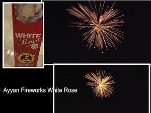 🔥 Ayyan Fireworks White Rose 🌹 | Wowsome Shell | 350rs | Diwali 2021 🪔