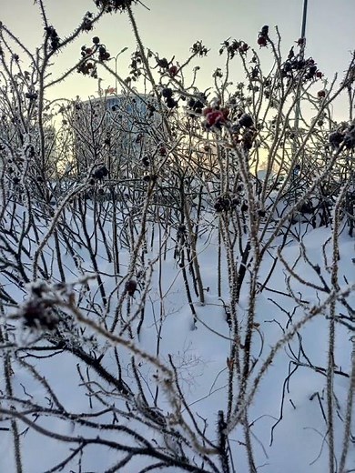 All in and Far M.. Beat: Alien Ant Farm "Smooth Criminal"