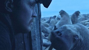 The short documentary “Haulout” follows a scientist on a remote Arctic beach who witnesses the chaotic effects of climate change on Pacific walruses. Watch here: http://nyer.cm/zpr9hSX | The New Yorker
