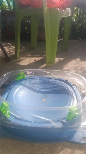 vòng loại beyblade 2 : thiên nga vs counter atack leo king💥