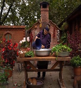 Traditional Georgian Spinach Pkhali | Chasity Hansen