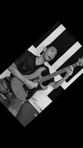 Fermata SC-24 Electric Guitar Review and Demo