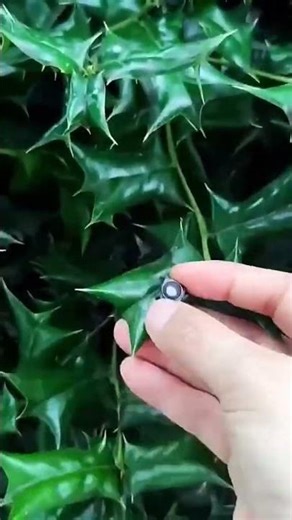 I Tested the BEST Mini HD1080p Camera for 30 Days #shorts