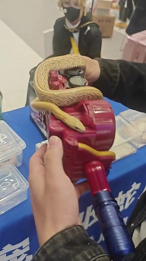 Cobra Kamen Rider Build: Evolusi dan Perkembangan