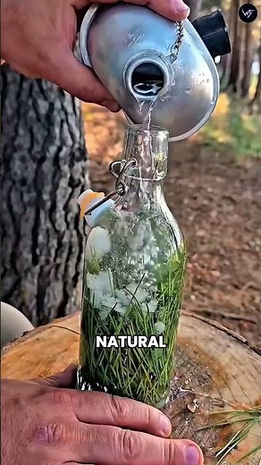 Homemade Sprite made with a tree? 🍋🌲