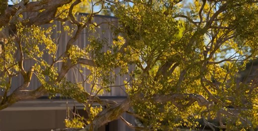 Cinematic 3D Archviz Walkthrough | Photorealistic Interior & Exterior Visualization