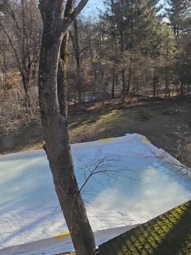 Building a Backyard Ice Skating Rink on a Budget