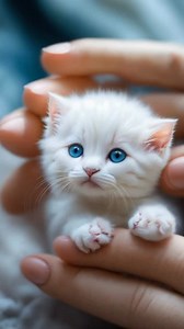 386 reactions · 21 shares |  “This Kitten Sings Like a Pop Star – You Won’t Believe Your Ears!”  #SingingCat #ViralKitten #CatConcert #MeowPerformance #InstaCatStar #CuteCatAlert #PetReels #CatShowtime #MeowMusic #CatWithTalent #FunnyPetVideo #CatEntertainment #FamousFeline #MusicalCat #KittenConcert #ViralPets #CatsOfInstagram #ReelCats #InstaKitten #KawaiiCat #PetInfluencer #InternetCatStar #AdorableMeow #MustSeeCat #CatTok2025 | Animals Story | Facebook