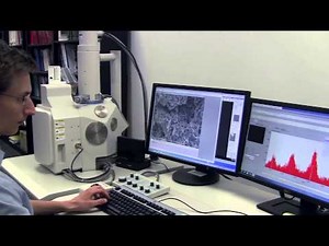 Intertek Grand Rapids Lab Tour