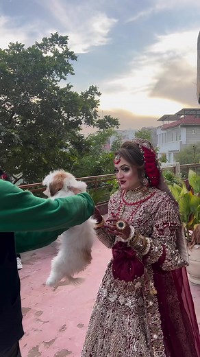 598K views · 15K reactions | #qarishahid #viralreels #viralpage...