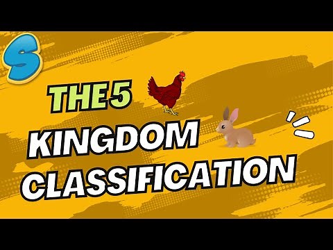The 5 kingdom classification Grade 9 Biology Unit 5 Part 2