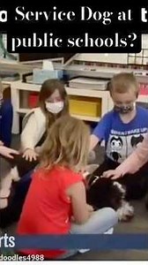 Service dogs at public schools ￼
