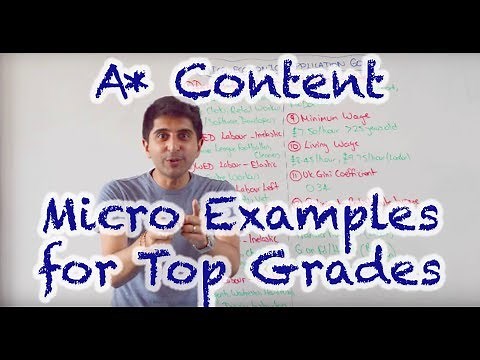 Microeconomics Examples for Everything - Path to A*s