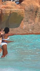 🧜‍♀️ ☀️⛱️ #waterslide #waterslides #waterslidefun #waterslidebroward #waterslidesperth #reelsviral #reelfb #fyp #trendingreels | BIG-view