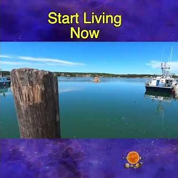 🌎"Start Living Now: Explore New Brunswick, Canada – Discover Hidden Gems & Scenic Views!"🇨🇦