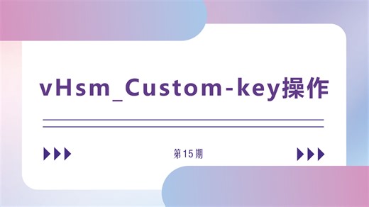 15 vHsm_Custom-key操作