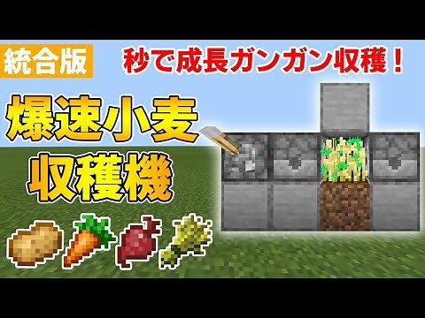【マイクラ統合版】簡単高速小麦収穫機の作り方