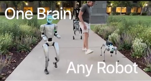 CTO ROBOTICS Media | 🤖 One AI, any robot. Skild Brain adapts to broken wheels, faulty thrusters, even crushed legs all without retraining. It learns... | Instagram