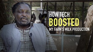 3K views · 24 reactions | Technology drives growth in Kenya's dairy industry Kenya's dairy sector is embracing innovation, with farmers leveraging digital tools to monitor milk production, enhance efficiency, and reduce losses. But how does this transformation unfold in daily operations? One dairy farmer shares his experience. #Tech #DairyFarming #TechInAgri #Kenya | CGTN Africa | Facebook