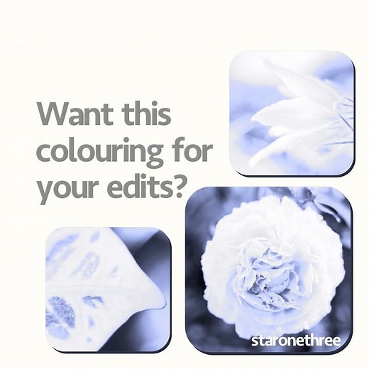Colouring for Edits | Works on any software that has blending modes | 🐋