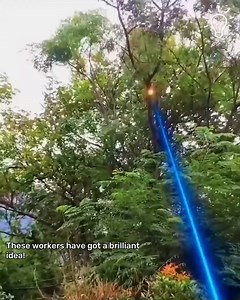 2.9K views · 16 reactions | Using Laser To Cut Tree Branches!  | King Reviews | Facebook