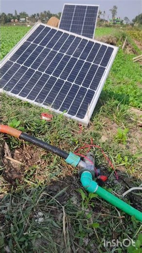 12v mini Dc pump||Solar power irrigation system... #775 #water #12vbattery #experiment #waterpump