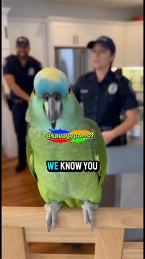 Paco the Parrot has rights, and he’s not afraid to use them! 😂🦜 Get me a lawyer, a phone call… and a premium cracker! Even the officers couldn’t stop laughing! #ParrotComedy #FunnyAnimals #TalkingBird #PoliceHumor | Savage Parrot
