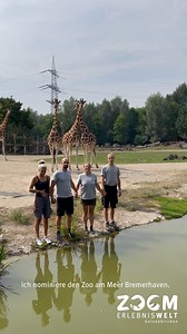 482K views · 8K reactions | Der Zoo Zürich hat die sogenannte...