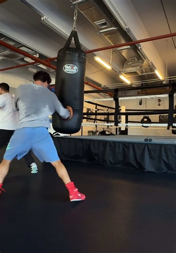 Boxing Training with Ring to Cage 50oz Gloves