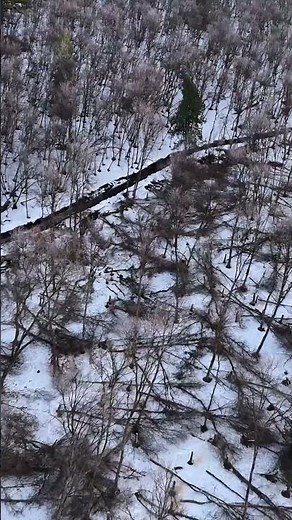Beautiful Snowy Mountains at My Idaho Ranch!
