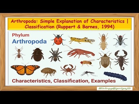 Arthropoda: Characteristics & Classification | for UG & PG (Ruppert & Barnes, 1994), Made Simple.