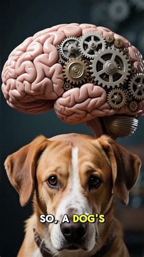 Dogs vs Cats: Who’s Smarter? 🧠 The Truth!