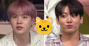 BTS Falls In Love With An ARMY's Cat...But The Cat Wants None Of It