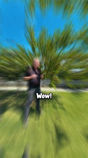 Hello Hello Plants on Instagram: "🍇Ever wanted a tree that gives you 𝘧𝘳𝘶𝘪𝘵 𝘈𝘕𝘋 𝘵𝘦𝘢? 😍 The 𝐁𝐥𝐚𝐜𝐤 𝐌𝐮𝐥𝐛𝐞𝐫𝐫𝐲 𝐓𝐫𝐞𝐞 is a gorgeous small tree with red berries that ripen to deep black — sweet, juicy, and perfect for eating fresh, while the leaves can be dried to make a calming mulberry tea. 🌿🍵 . Grow your own fruit + tea combo at home. 👉𝙁𝙞𝙣𝙙 𝙮𝙤𝙪𝙧 𝘽𝙡𝙖𝙘𝙠 𝙈𝙪𝙡𝙗𝙚𝙧𝙧𝙮 𝙏𝙧𝙚𝙚 𝙖𝙩 𝙃𝙚𝙡𝙡𝙤 𝙃𝙚𝙡𝙡𝙤 𝙋𝙡𝙖𝙣𝙩𝙨. Go to our website via the link in bio. 