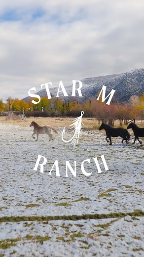 Welcome to Star M Ranch - 60 acres of serenity on the Weber River. The ranch includes multiple horse pastures, a private forest, a newly remodeled 9,571 sf five-bedroom main residence, a guest house, a versatile artist studio near the water, and a massive new 16,800 sf party barn with an indoor pool, regulation size basketball court, fitness center, golf room, a lounge for gathering and entertainment, and indoor parking for 14 vehicles. Designed for recreation and relaxation in every season, the