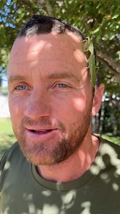 LOOK at this awesome insect - Camouflage is a beautiful thing to observe! 🦗🙌🏻 • • • #insects #creepycute #mantis #fyp #instagood #reillytravers #camouflage #reelsinstagram #deadly #viralreels #africa | Reilly Travers