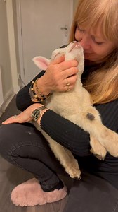 17K reactions · 2.6K shares | Alfredo’s he’s one in a million. I have...